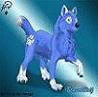 Blauerwolf Blauerwolf