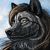 toddwolf toddwolf
