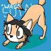 soyalaemberwolf soyalaemberwolf