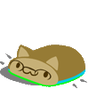 techcat techcat