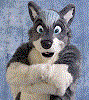 oswanwolf oswanwolf