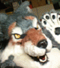 akuwolf akuwolf