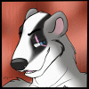 badgerc badgerc