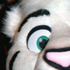 BlakeTiger BlakeTiger