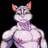 Bleakcat Bleakcat