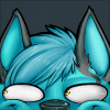 bloofox bloofox