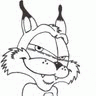 bubsybobcat bubsybobcat