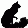 celticwindwolf celticwindwolf