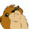 Charlie_B Charlie_B