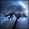 darkeyedwolf darkeyedwolf