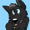 DrahckWolf DrahckWolf