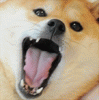 dsgfwerhg dsgfwerhg