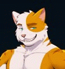 fionnthecat fionnthecat