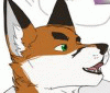 gatsbyjhusky gatsbyjhusky