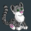 GreySnowCat GreySnowCat