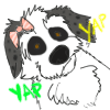 grumpydog grumpydog