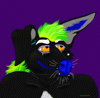 hazzardwolf hazzardwolf