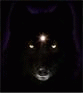 jazzanovawolf jazzanovawolf