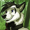 koru_wolf koru_wolf