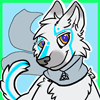 Midknightfox Midknightfox