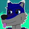 midnightmistwolf midnightmistwolf