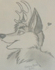 mud_fox mud_fox