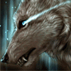 nagi-wolf nagi-wolf