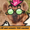 phealgud phealgud