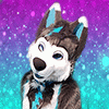 RodorWolf RodorWolf