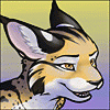 sketchkat sketchkat