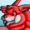 studthekangaroo studthekangaroo