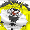 takashiwolf takashiwolf