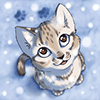TS-cat TS-cat
