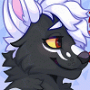 WhatTheFennec WhatTheFennec