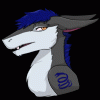 woolfpack woolfpack