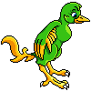 harlequinfinch harlequinfinch
