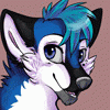 Hocuswolf Hocuswolf