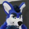 SpeedyWolf SpeedyWolf