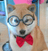takun takun