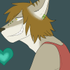 kakariwolf kakariwolf