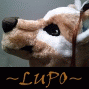 lupodharkael lupodharkael