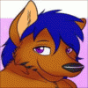 manic.wolf manic.wolf