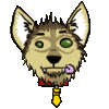 ph8lwolf ph8lwolf