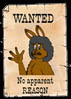 wallarooblacke wallarooblacke