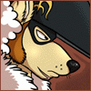 Hyperdingo Hyperdingo