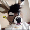bashygalaxy bashygalaxy