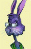 amethystbouncybunny amethystbouncybunny