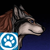 sdwolf sdwolf