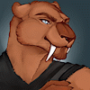 Big_Catfg Big_Catfg