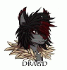 dragd dragd
